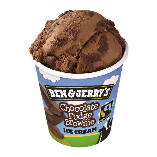 Chocolate Fudge Brownie 465ml